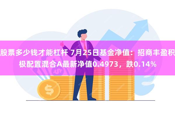 股票多少钱才能杠杆 7月25日基金净值：招商丰盈积极配置