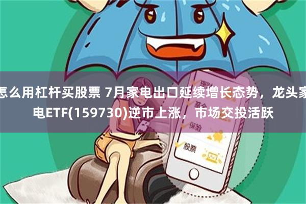 怎么用杠杆买股票 7月家电出口延续增长态势，龙头家电ETF(159730)逆市上涨，市场交投活跃