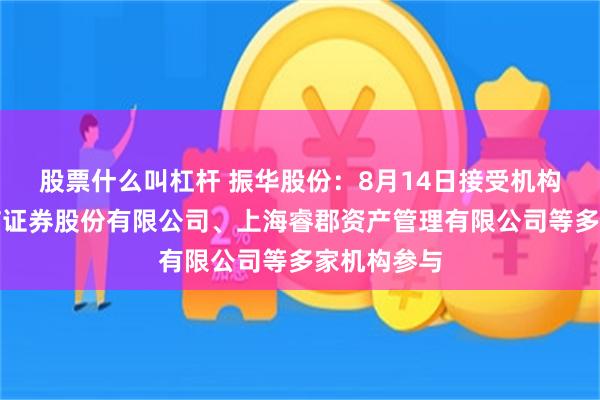 股票什么叫杠杆 振华股份：8月14日接受机构调研，中信证券股份有限公司、上海睿郡资产管理有限公司等多家机构参与