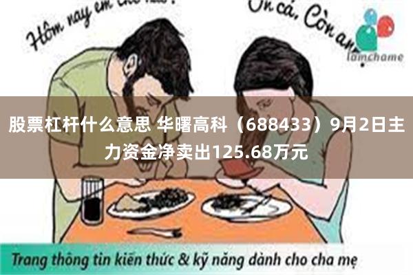 股票杠杆什么意思 华曙高科（688433）9月2日主力资金净