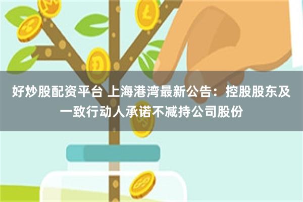 好炒股配资平台 上海港湾最新公告：控股股东及一致行动人承