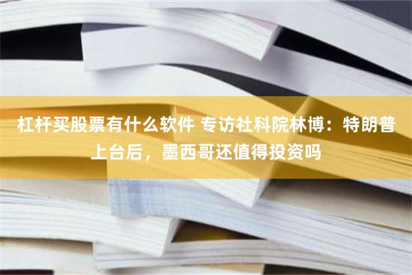 杠杆买股票有什么软件 专访社科院林博：特朗普上台后，墨西哥还值得投资吗