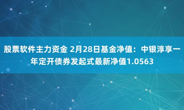 股票软件主力资金 2月28日基金净值：中银淳享一年定开债券发起式最新净值1.0563