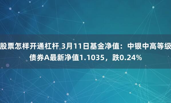 股票怎样开通杠杆 3月11日基金净值：中银中高等级债券A最新净值1.1035，跌0.24%